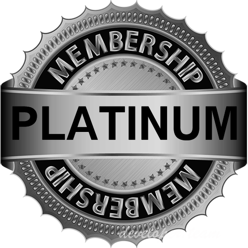 Partner Platinum de Hikvision